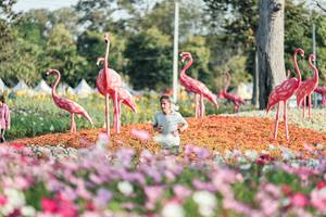 BIB: 
                            <button type="button" onclick="openModal(27344268)" class="btn btn-primary btn-sm float-right btn-popup" data-toggle="modal" data-target=".modal-high-quality">
                        <i class="fas fa-shopping-cart"></i> Add to Cart
                    </button>
                                            <button type="button" onclick="isThisMe(27344268, true)" class="btn btn-success btn-sm float-right btn-popup btn-isme hidden" data-toggle="tooltip" data-placement="bottom" title="นี่คือรูปของคุณใช่ไหม คลิกที่นี่เพื่อเอาเข้าอัลบั้ม">
                        <i class="fas fa-plus"></i> Add to album
                    </button>
                    <button type="button" onclick="isThisMe(27344268, false)" class="btn btn-warning btn-sm float-right btn-popup btn-isnotme hidden">
                        <i class="fas fa-ban"></i> Remove from album
                    </button>